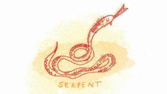 Monotype d'un serpent orange