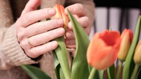 Anne touche des tulipes dans un vase. Crédit @ Dominic Morissette.
