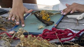 Manipulation de fleurs, de feuilles et de tissus lors de l'atelier de cyanotype.Crédit photo : Andrea Calderon