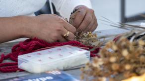 Manipulation de fleurs, de feuilles et de tissus lors de l'atelier de cyanotype.Crédit photo : Andrea Calderon