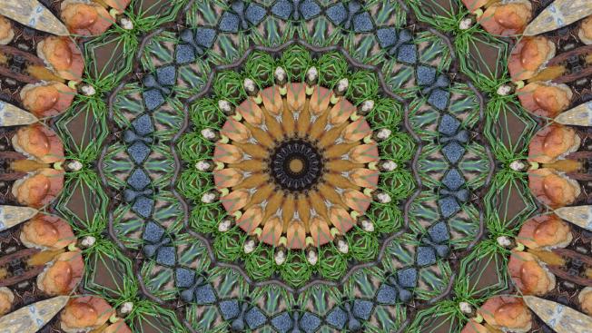 Image kaléidoscopique presque architecturale. Elle présente des teintes d'ocre et de bleu.