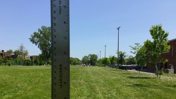 Une règle se situe dans l’avant-plan d’une photo d’un parc. On peut déceler un groupe de participant·e·s en arrière-plan. Crédit photo @ Yves Amyot